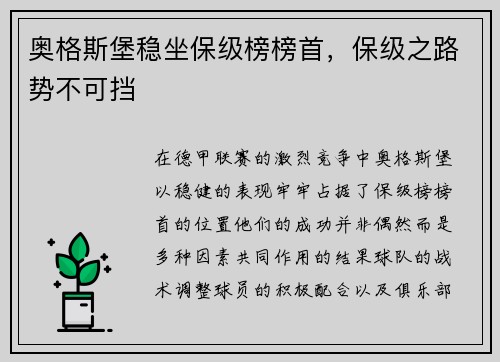 奥格斯堡稳坐保级榜榜首，保级之路势不可挡