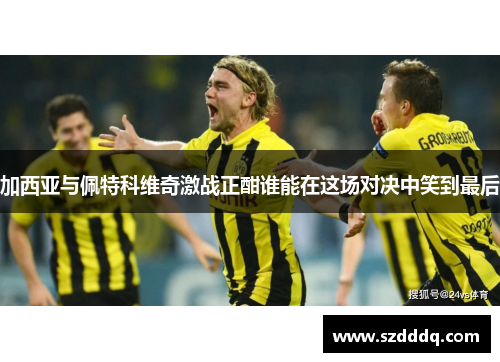 加西亚与佩特科维奇激战正酣谁能在这场对决中笑到最后